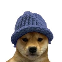 Coldest Pup (@theroaringpup) 's Twitter Profile Photo Coldest Pup (@theroaringpup) 's Twitter Profile Photo
