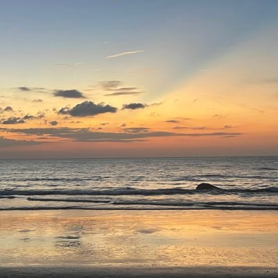 filemanantiques's profile picture. 