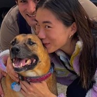 elenashao.bsky.social (@elenalingshao) 's Twitter Profile