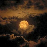 كرم (@x3bqp) 's Twitter Profile