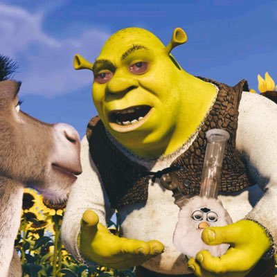 boa aka himbo(a) | 26 they/them | 18+ | bg3/lotr/weed/wizardry/whatever