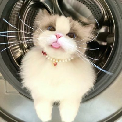 けいこ
性格真逆な可愛い😘
優しい息子の可愛い日常姿を載せてます。
興味がある方DMやコメント頂けたらと思います!😊