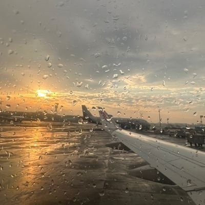 maid338214's profile picture. Fan