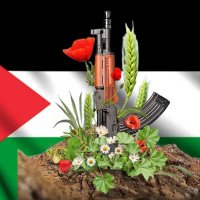 Mohamed darweesh (@darweesh512) 's Twitter Profile