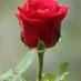 Mohammad Yaqoob Soomro (@yaqoobsoom99904) Twitter profile photo