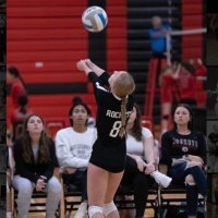 Brynn Clarey (@brynnclarey) 's Twitter Profile
