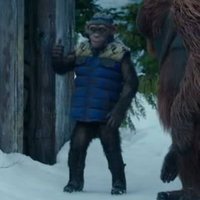 Doctor of Thuganomics (@brandon_a1103) 's Twitter Profile Photo