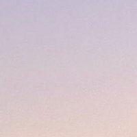 ً (@zanderceo) 's Twitter Profile Photo ً (@zanderceo) 's Twitter Profile Photo