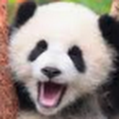 EIndomenic96927's profile picture. 
