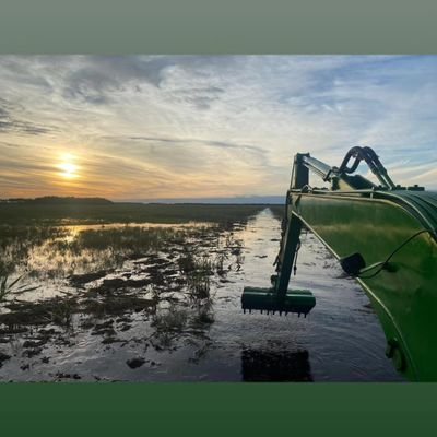 ismaelbarrios95's profile picture. 