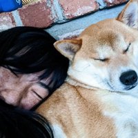 Audrey Huang (@auddery) 's Twitter Profile