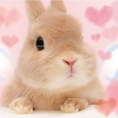 gauriyka's profile picture. gojohateclubgrrrrrrr😡🤬