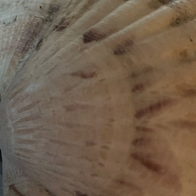 poeysand's profile picture. Sandrine