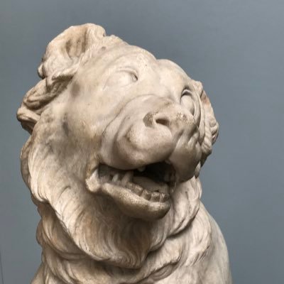 SapphireCN's profile picture. 