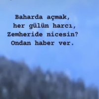 Furkan (@kalptenkalben) Twitter profile photo