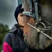 Typical equestrian girlfriend(@equsarr) 's Twitter Profile Photo