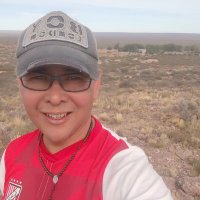 Nestor Cañiuqueo (@nestorcerri) 's Twitter Profile