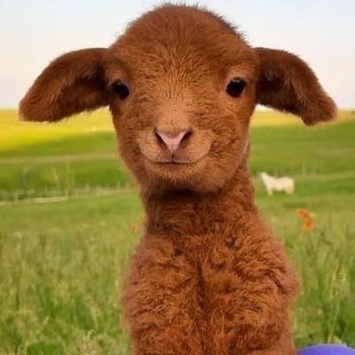 Mac_NameTaken's profile picture. Code, Games, Memes, Music!

Finding my way around, peace in this AI sloppy World!