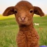 Mac_NameTaken's profile picture. Code, Games, Memes, Music!

Finding my way around, peace in this AI sloppy World!