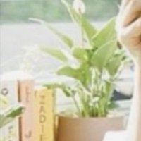 さち (@sachiyokwashima) 's Twitter Profile Photo さち (@sachiyokwashima) 's Twitter Profile Photo
