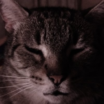 mamull_'s profile picture. #XMR
86ZKRMkDTHKRCYNLbS3c1pKTpefWwZ9QKBnu5gkL2YQqji1P2yARqHrczpQsdsDFEbD5QnSo4Z6U5ffbHYYstNPcSHgfa2H

#BTC
bc1qrjvnl8a9xx2mtz8ftafaqp0klsd4q68pxsrtvx