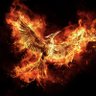 TheHungerGames's profile picture. Hunger Games today, tomorrow, forever 🏹
