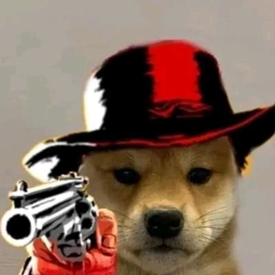 wustafaburak's profile picture. 