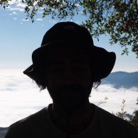 tony (@tony_m_f_) 's Twitter Profile