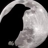 Dou (@douthekan) Twitter profile photo