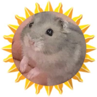 「優しさ」で風くんを知りピアノ弾き語りライブDAY1で沼落ち ビバラロック*HEATワールド記念ホール*パナスタ🥕*LAAT大阪城ホール 毎日風くんに癒されています ♡無言フォロー失礼します 🙏初心者ですが仲良くしてください✨
