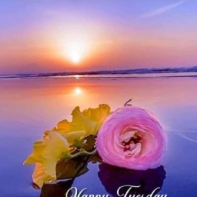 Nimrita_1975's profile picture. 