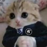 Andrei Piovezan (@artcsgo) 's Twitter Profile