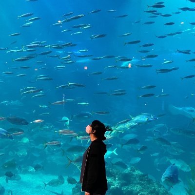soojinoncloud's profile picture. Cloud Architect