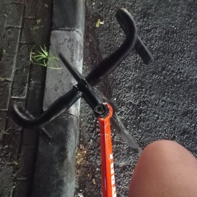 ragingbrachyd's profile picture. Baca aturan pakai