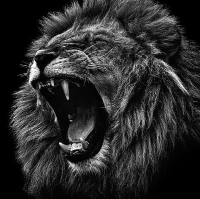 @ChelseaFc |
Made Of Black✊🏿| Libra ♎|
Music is Life |
Sport is the Energy |Football is the game | Believer | Crypto | Airdrop Hunter |