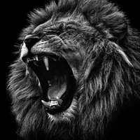 Official _JojoNation 🆖 (@jojonationng) 's Twitter Profile Photo Official _JojoNation 🆖 (@jojonationng) 's Twitter Profile Photo