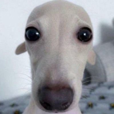 까눌레さんのプロフィール画像