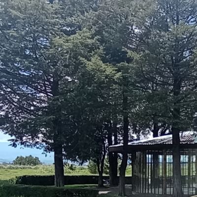 Jacob_d1l's profile picture. 