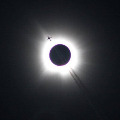 lsy991123's profile picture. 