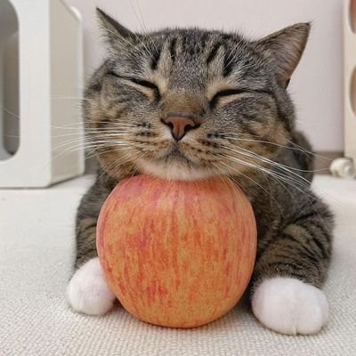 YZeli58048's profile picture. 