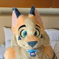 Lil_Scoozer (@lil_scoozer) 's Twitter Profile