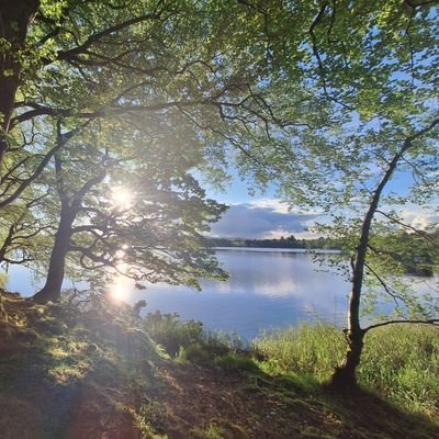 Kat73333431's profile picture. 🌸🌸
💞💖🦋💖💞
Complementary Therapist,  Health care assistant
 🌸💞💖🦋💖💞🌸