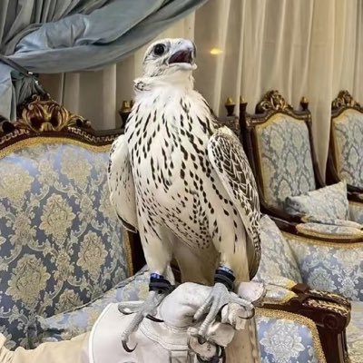 ﴿ وَأذكر رَبّك إذا نسِيت ﴾