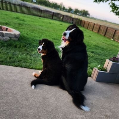Gumm006 Profile Picture