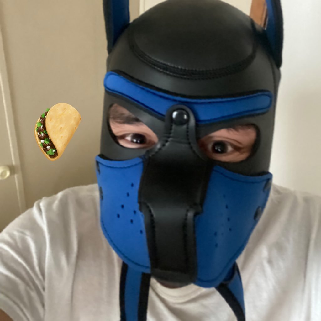 anubis1919win's profile picture. 21 here, 18+, im a puppy,sub,kinky,naughty, and looking to try new things, and make some friends along the way * I’m in a relationship*