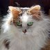 Bob's Your Uncle (@esterda33046310) Twitter profile photo Bob's Your Uncle (@esterda33046310) Twitter profile photo