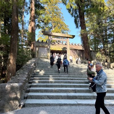 mineko01's profile picture. 