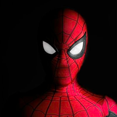 The Web3 Spiderman Profile