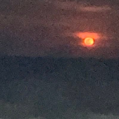 austiey's profile picture. 