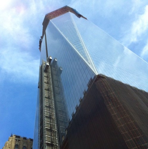 tchappy's profile picture. 